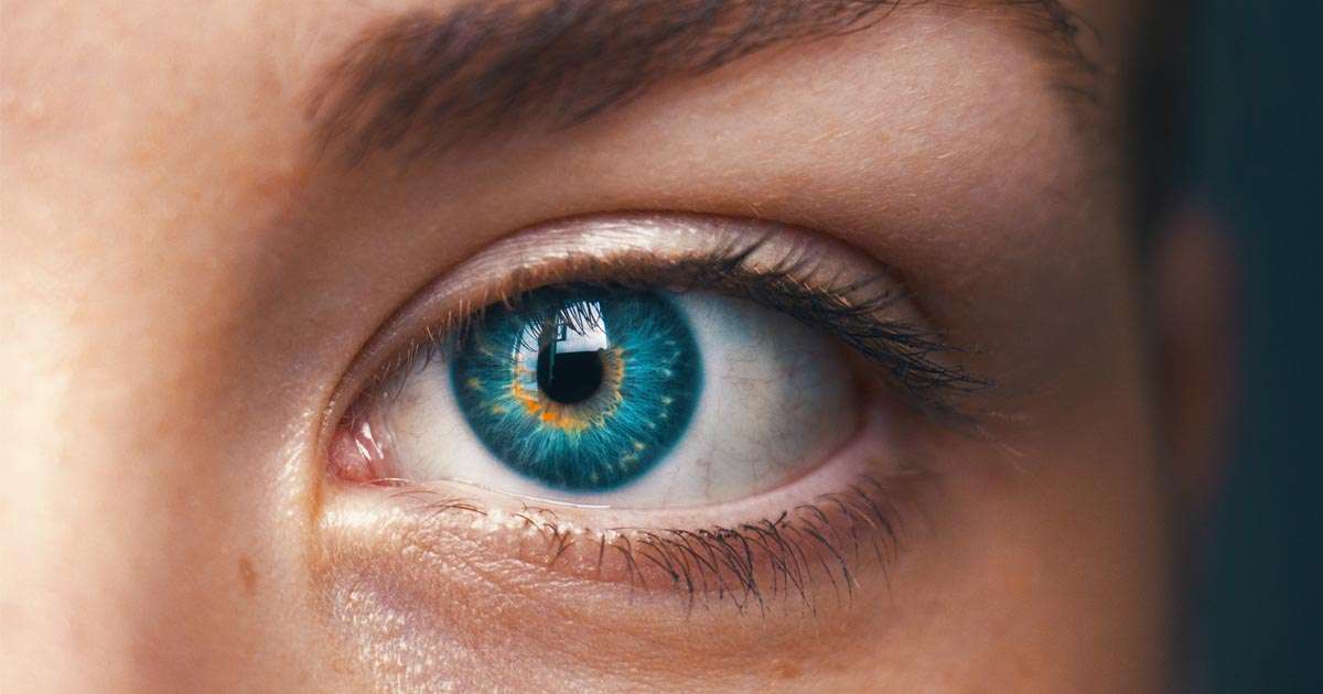 ตาบอดสีรักษาได้ไหม ? ชวนรู้จักโรคนี้ ประเภทของตาบอดสีและวิธีการรักษา