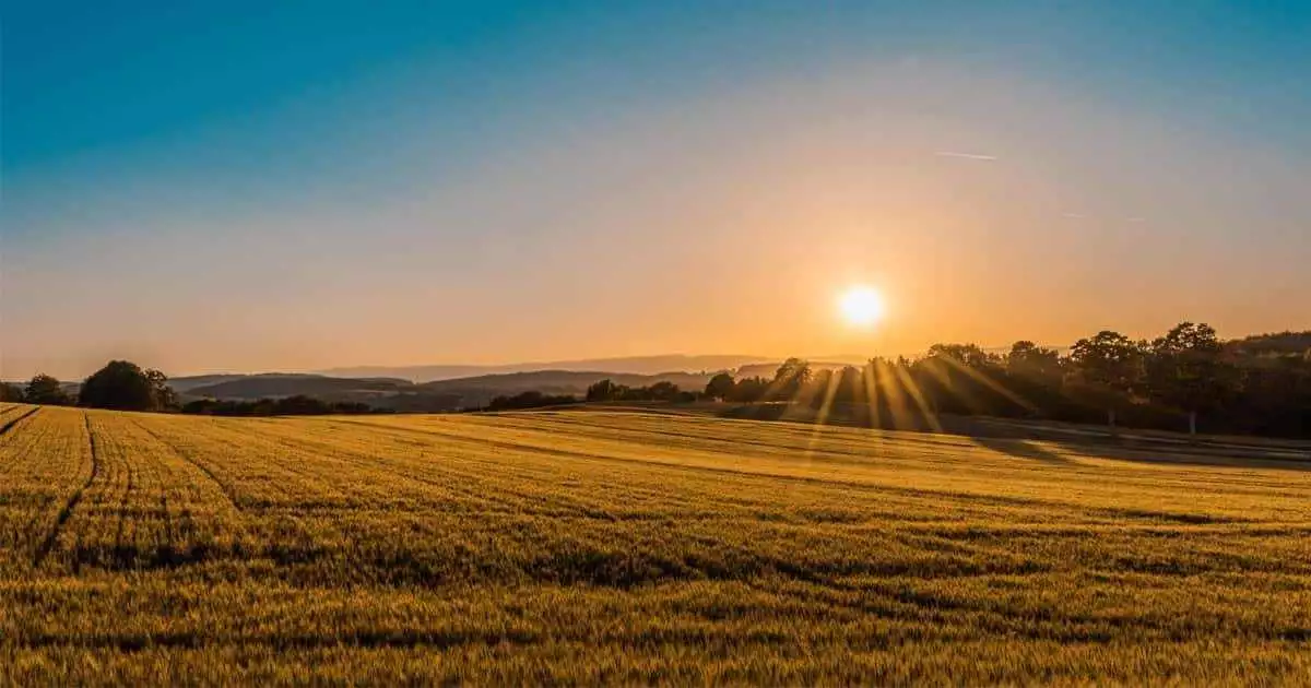 ikigai คือ, อิคิไก คือ