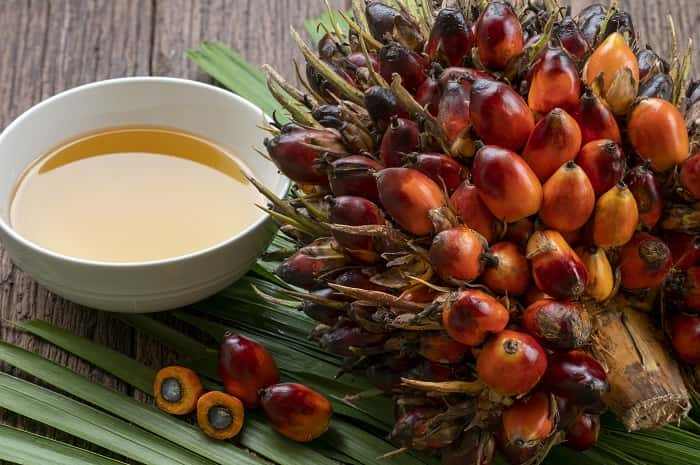 น้ำมันเมล็ดในปาล์ม, น้ำมันเมล็ดในปาล์มดีไหม