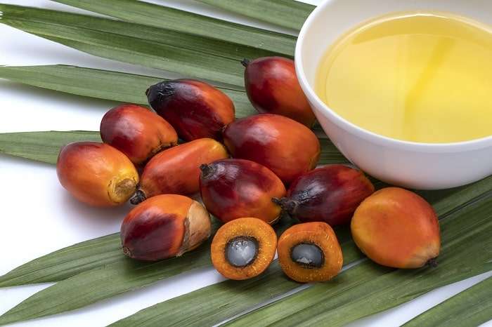 น้ำมันเมล็ดในปาล์ม, น้ำมันเมล็ดในปาล์มดีไหม