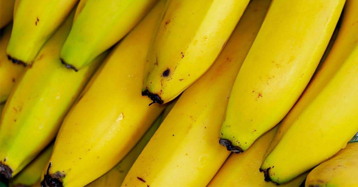5 เมนูกล้วยหอมคลีน อร่อยได้ง่ายๆ แบบไม่อ้วน