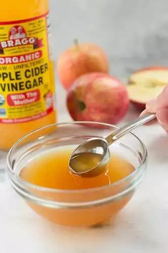น้ำส้มสายชูแอปเปิ้ลไซเดอร์, น้ำส้มสายชูหมักแอปเปิ้ลไซเดอร์