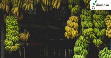ชนิด กล้วย, กล้วย ประโยชน์