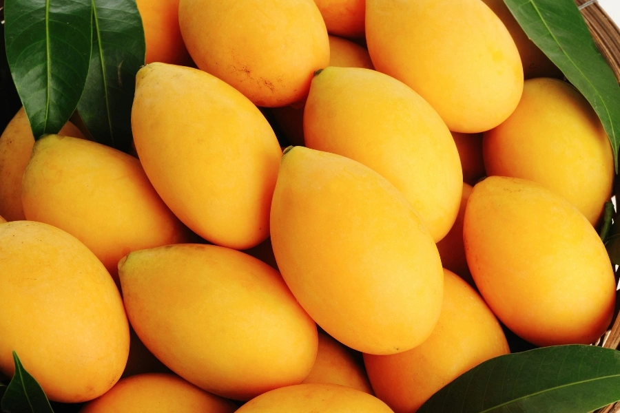 มะยงชิดกี่แคล, มะยงชิดอ้วนไหม