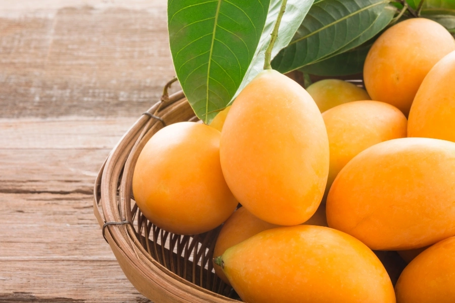 มะยงชิดกี่แคล, มะยงชิดอ้วนไหม