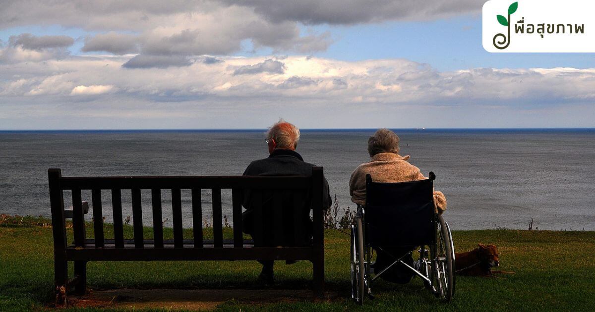 โรคจิตเวชในผู้สูงอายุ, โรคจิตเวช มีอะไรบ้าง