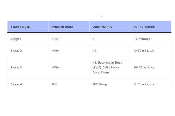 deep sleep คือ, REM sleep คือ, light sleep