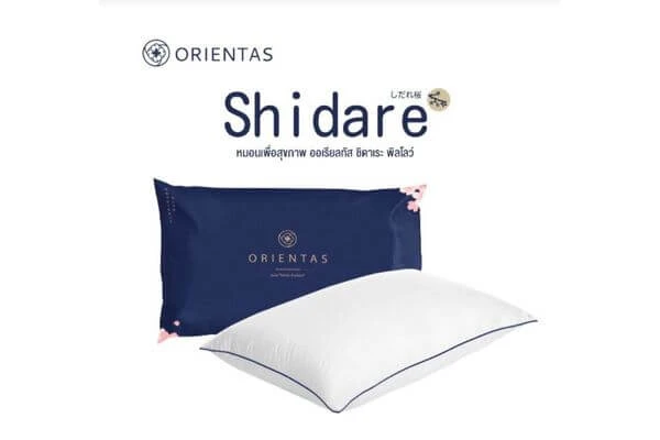 หมอนเพื่อสุขภาพ ยี่ห้อไหนดี, หมอน ยี่ห้อไหนดี