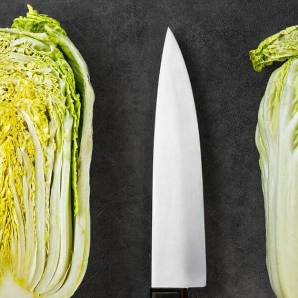 รวม ผักกาดขาว เมนู ทำง่าย กินอร่อย ได้ประโยชน์