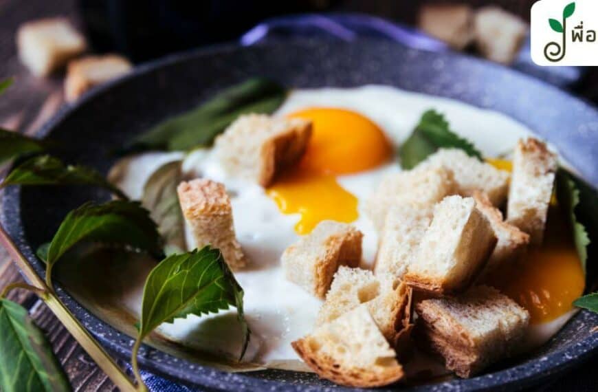 มัดรวมจานเด็ด เมนูมังสวิรัติ ไข่ กินมังแบบไม่ขาดโปรตีน อร่อยได้ง่ายๆ มากประโยชน์ ดีต่อสุภาพ