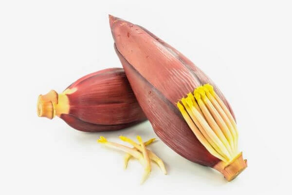 สมุนไพรดับร้อนในร่างกาย, สมุนไพรแก้ร้อนใน