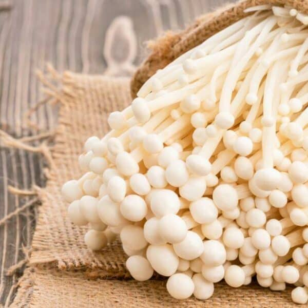 ชวนเข้าครัว 8 จานเด็ด เมนูจากเห็ดเข็มทอง ทั้งอร่อย ทั้งดีต่อสุขภาพ !