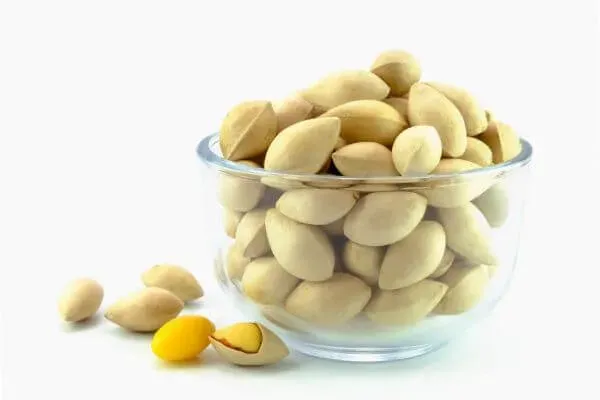 ประโยชน์ แปะก๊วย, แปะก๊วย สรรพคุณ