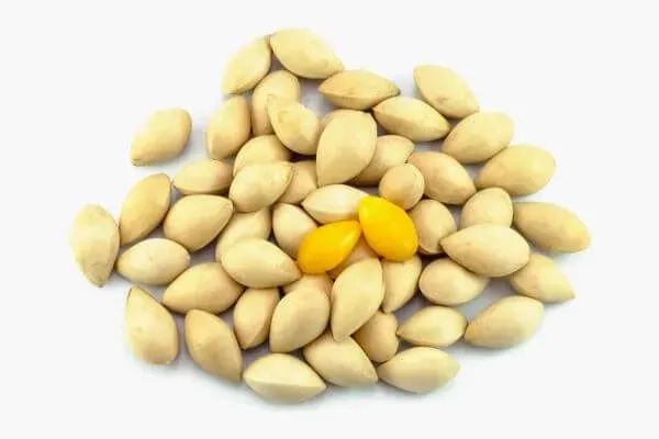 ประโยชน์ แปะก๊วย, แปะก๊วย สรรพคุณ