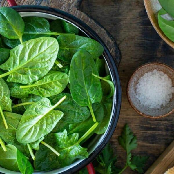 แชร์ 10 ไอเดีย ผักโขม เมนู อร่อยดีต่อสุขภาพ ทำตามไม่ยาก มาเข้าครัวทำจานอร่อยจากผักโขมกัน