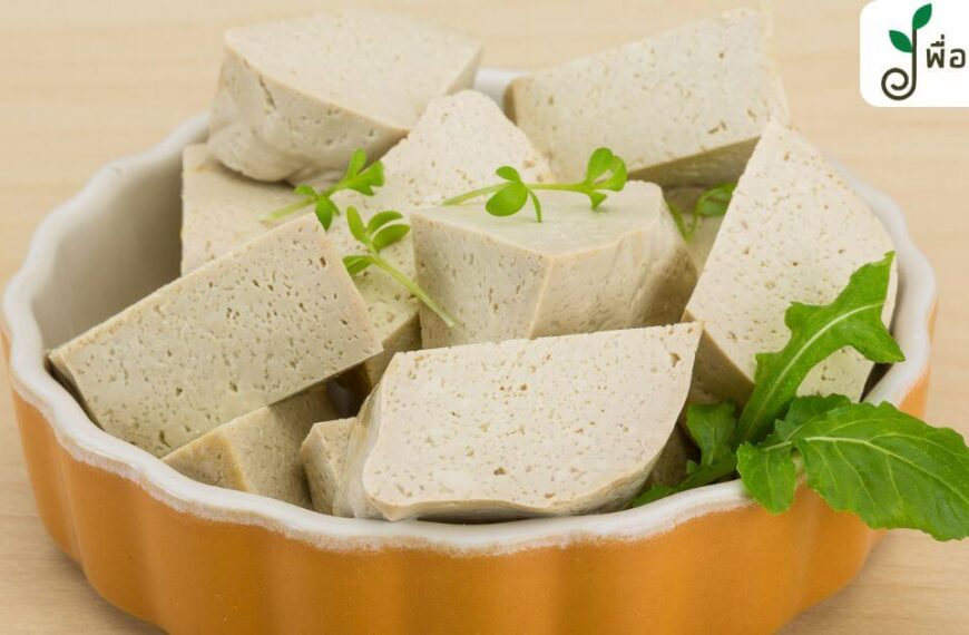 แชร์ วิธีทำเต้าหู้ ทั้งก้อนขาว และเหลืองแบบโฮมเมด เอาไว้ทำกินเอง ทั้งสะอาด ทั้งถูก !
