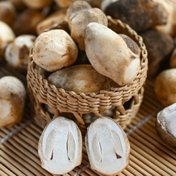 เห็ดฟาง เมนู 7 อย่าง ที่นอกจากอร่อยแล้ว ยังได้สรรพคุณทางยาด้วย