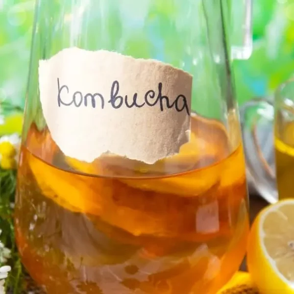 Kombusha วิธีทำคืออะไร ? ชวนมาหมักชากินเพื่อสุขภาพกัน !