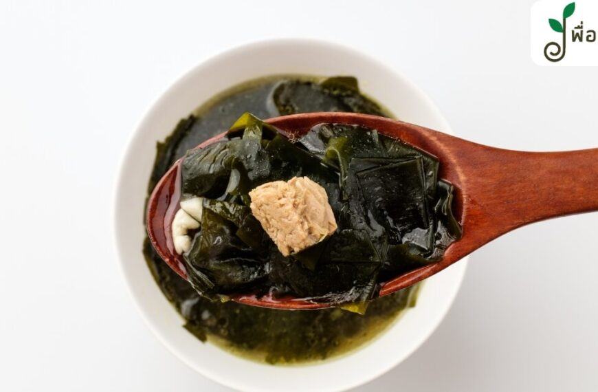สาหร่ายวากาเมะ เมนู น่าสนใจ มีอะไรบ้าง ? ชวนเข้าครัวเตรียมเมนูง่ายๆ แต่อร่อยกัน !