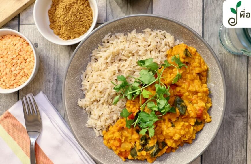 ถั่วเลนทิล เมนูสุขภาพที่ทั้งอร่อย อิ่มนาน และดีต่อหัวใจ พร้อม 10 ไอเดียทำกินง่ายๆ ได้ทุกวัน !