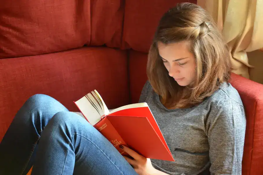 นิยายรัก, นิยายรักวัยรุ้น