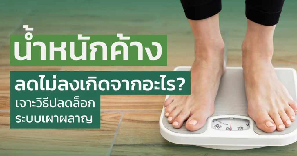 น้ำหนักค้าง ลดไม่ลง